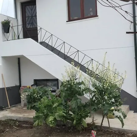 Apartment Casa Isabel 2 Bedroom Near Porto
